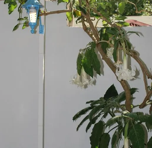 Myra 호텔 달리안